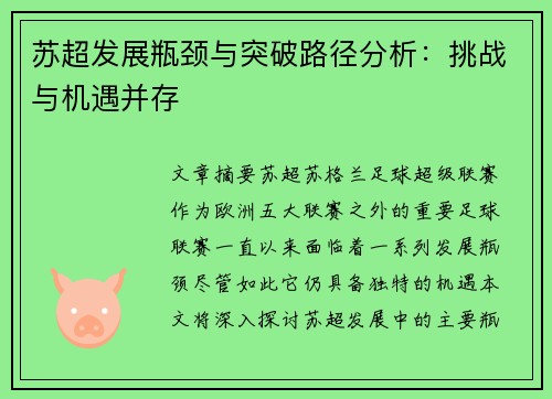 苏超发展瓶颈与突破路径分析：挑战与机遇并存